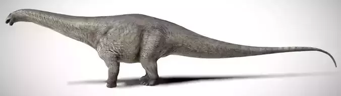 Apatosaurus The Thunderous Giant of the Jurassic Low-poly 3D model