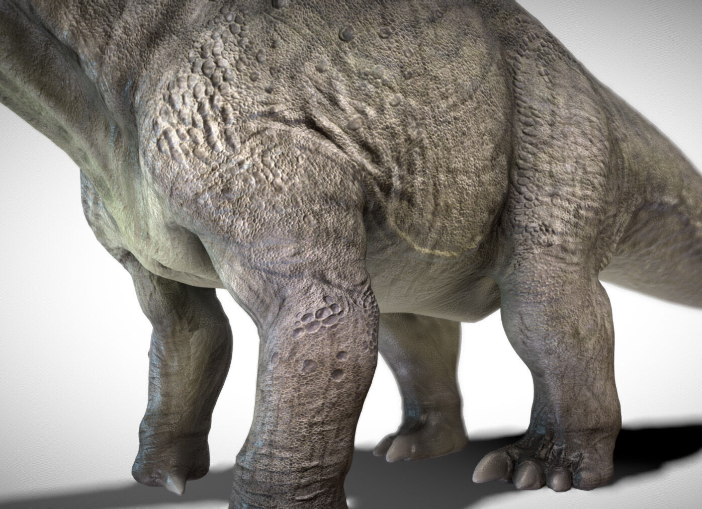 Apatosaurus The Thunderous Giant of the Jurassic Low-poly 3D model_6
