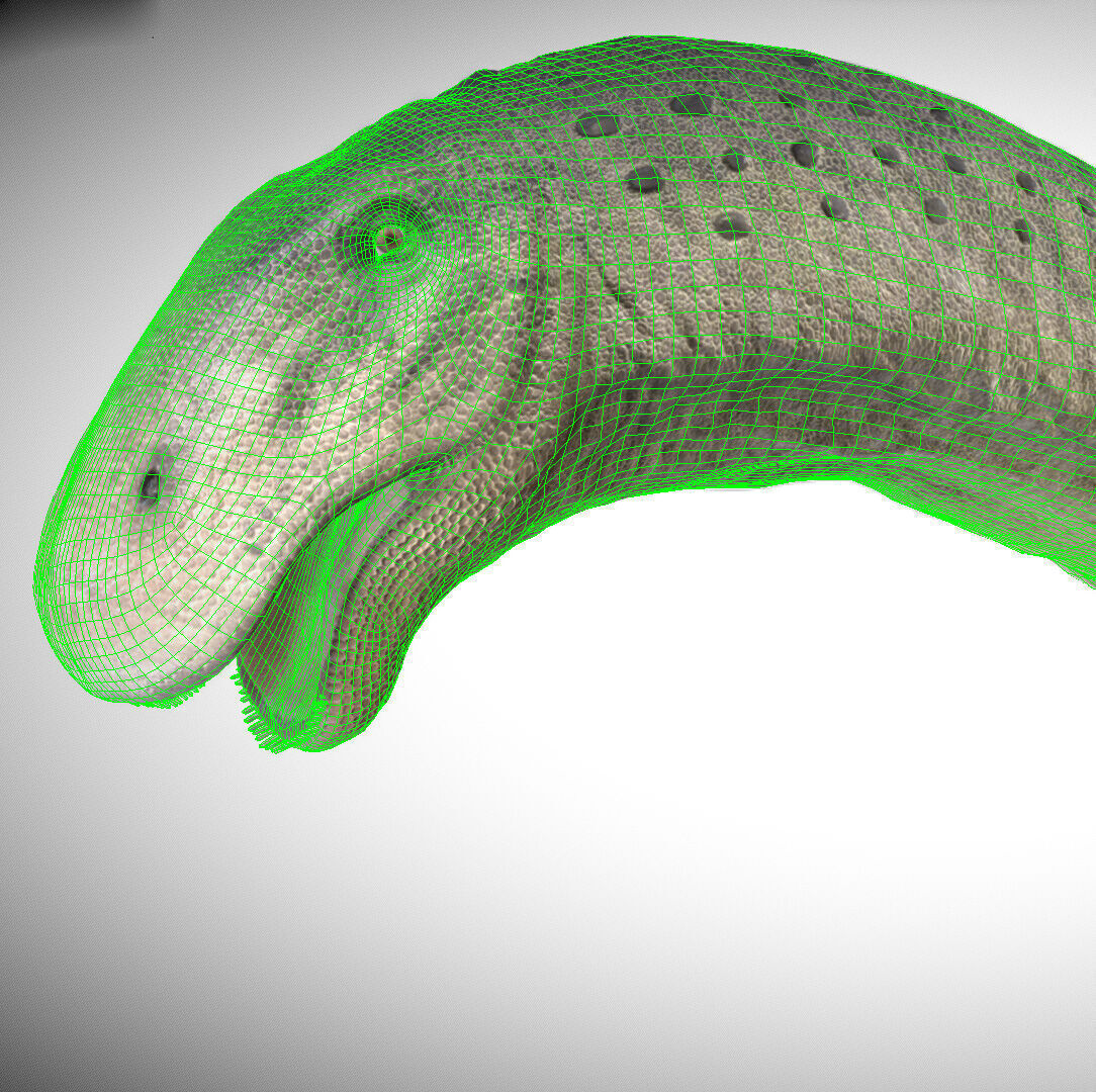 Apatosaurus The Thunderous Giant of the Jurassic Low-poly 3D model_3