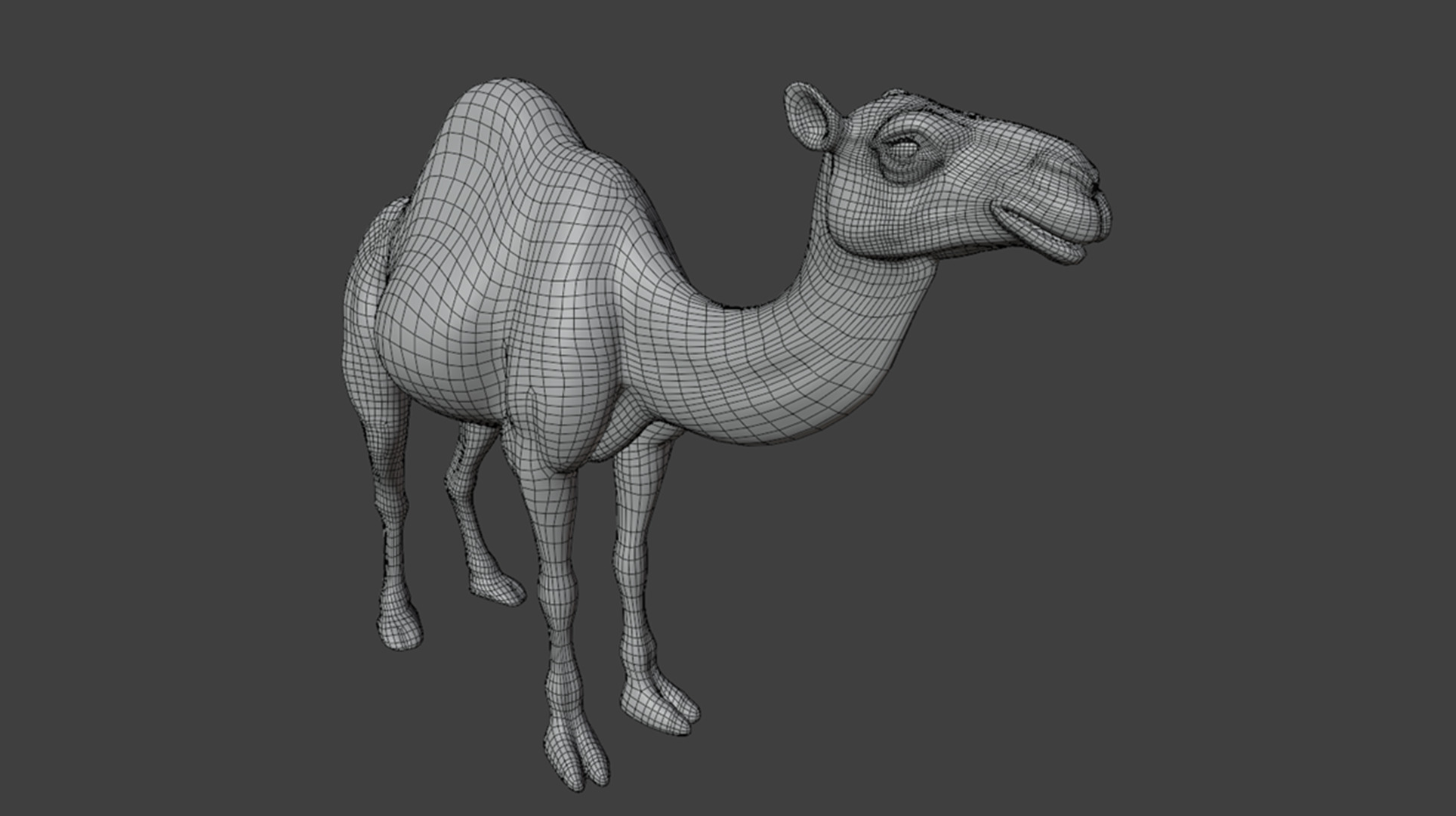 3D Camel Model Low-poly 3D model_13