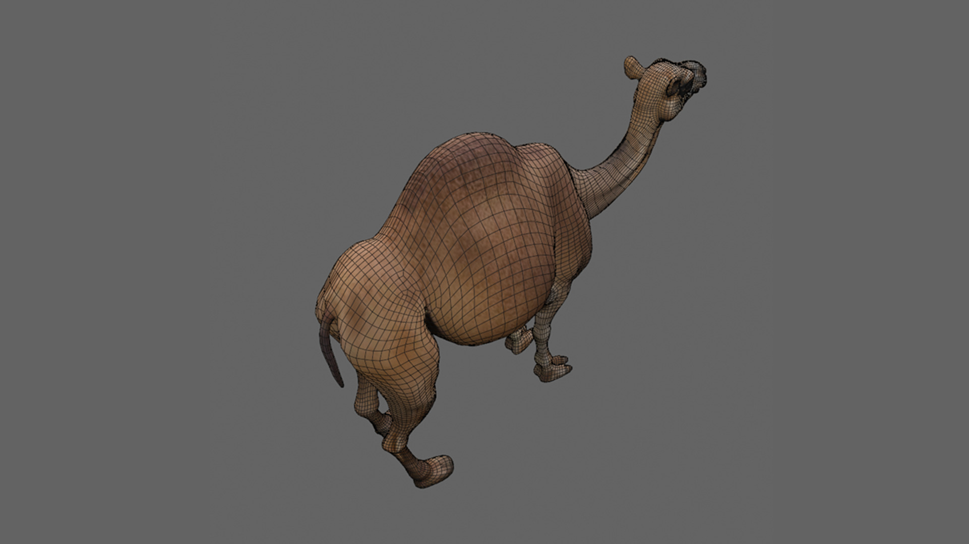 3D Camel Model Low-poly 3D model_10