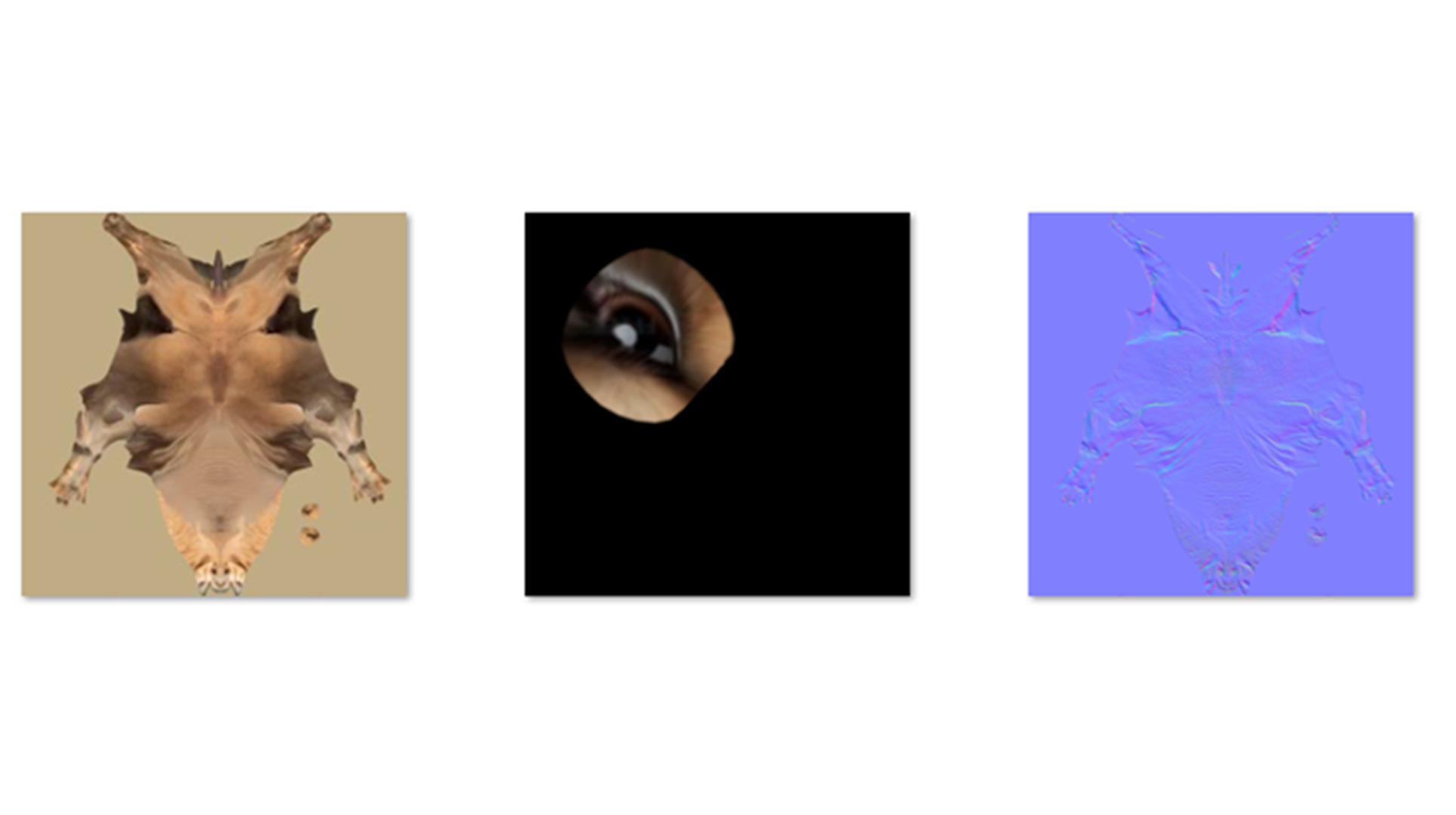 3D Camel Model Low-poly 3D model_16