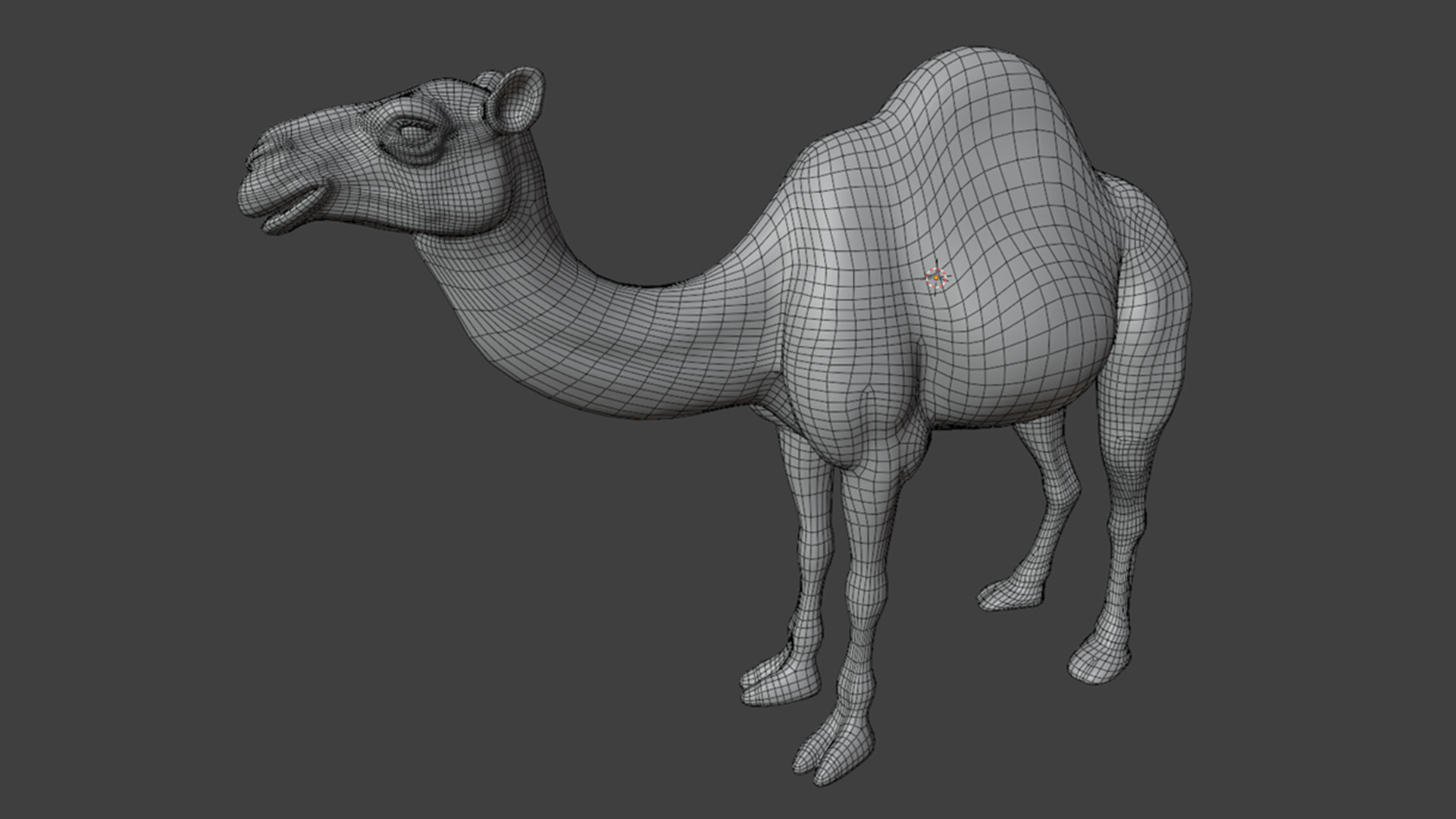 3D Camel Model Low-poly 3D model_12