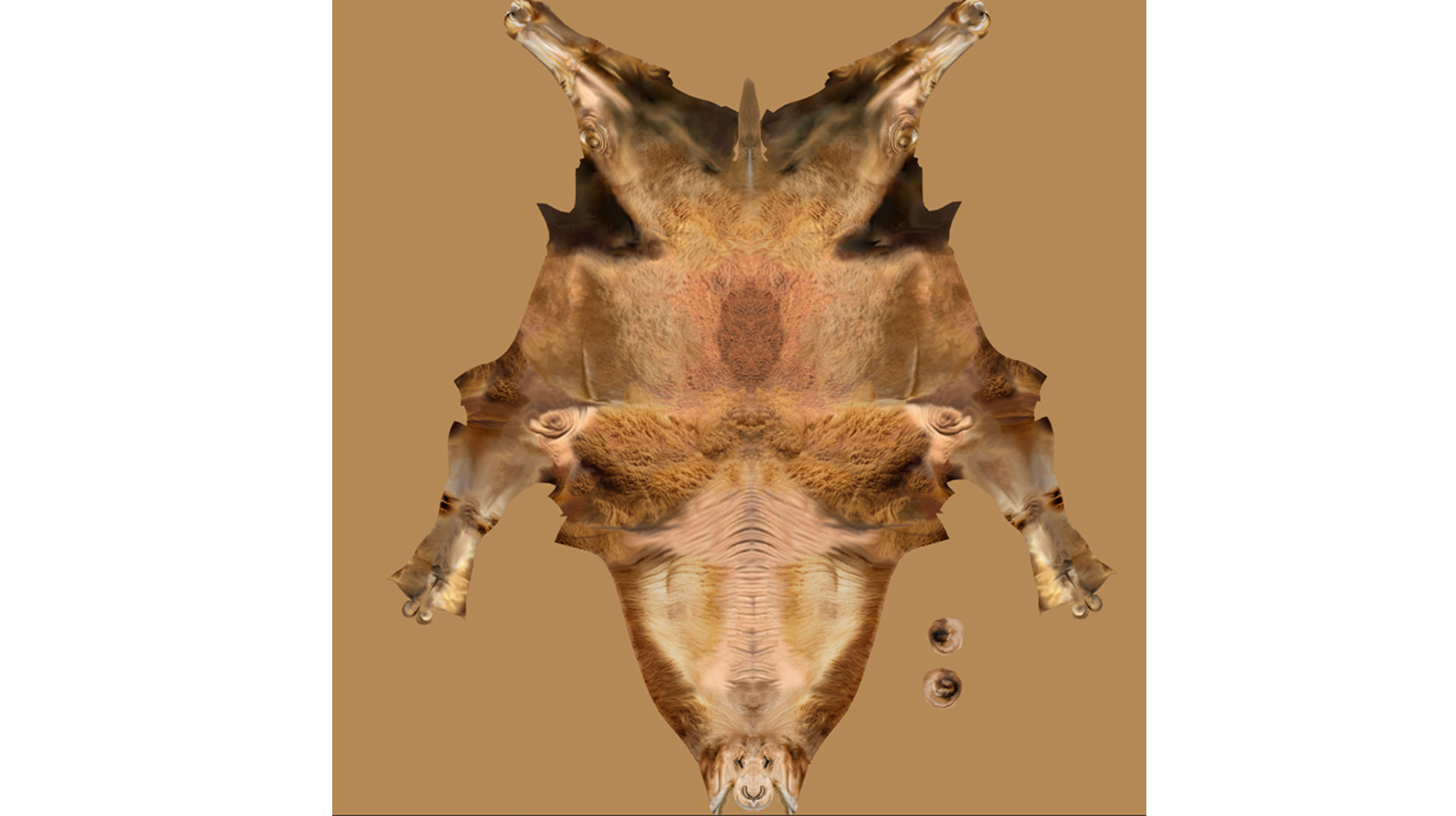 High-Quality 3D Camel Model Low-poly 3D model_17