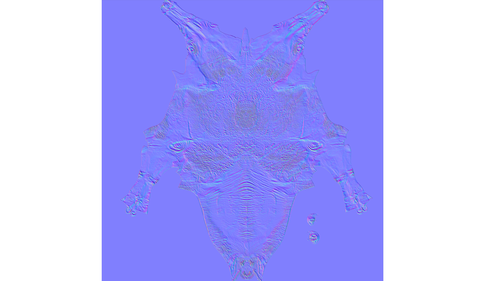 High-Quality 3D Camel Model Low-poly 3D model_18