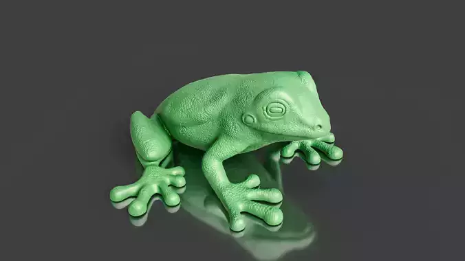 Realistic  Frog amphibians