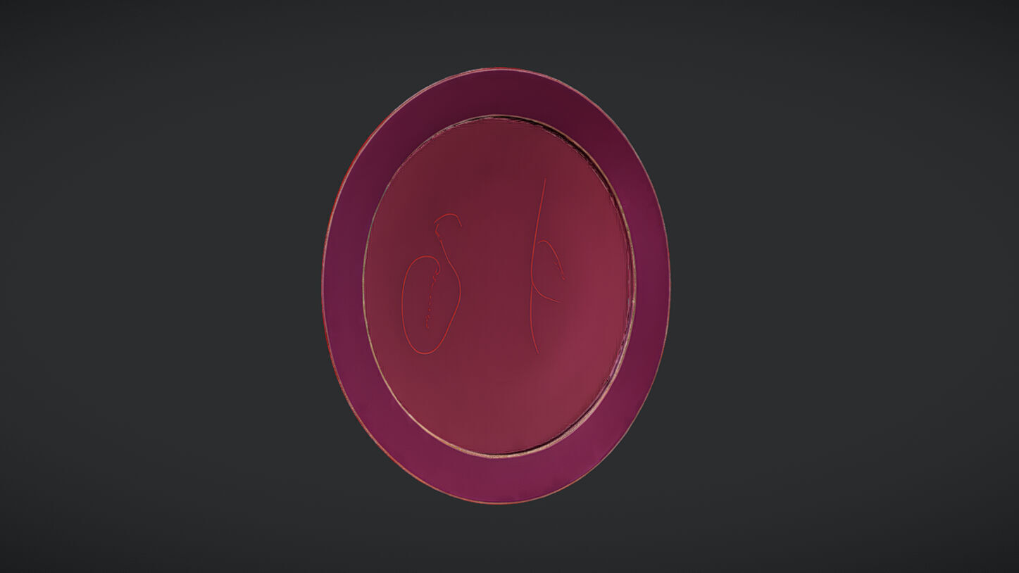 Iconic round shield with star emblem 3D model_5