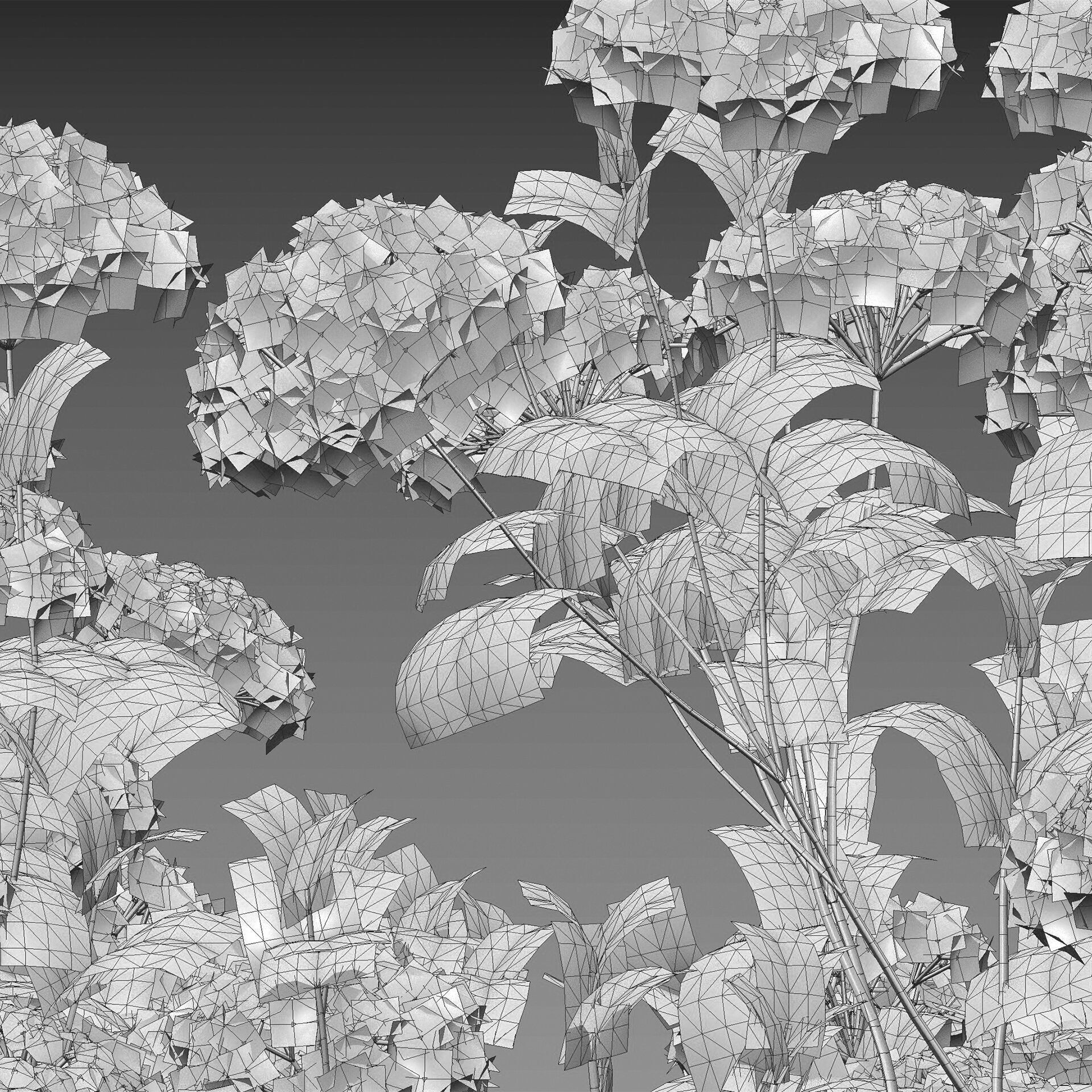 Viburnum opulus Roseum - European Cranberrybush 01 3D model_5