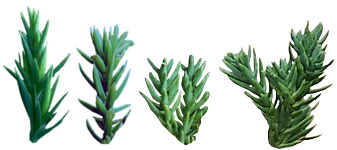 Yen Boutique Free 3D model_8