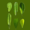 Yen Boutique Free 3D model_11