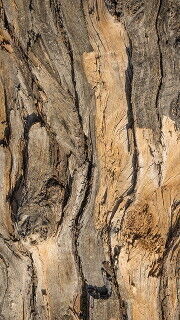 Yen Boutique Free 3D model_7