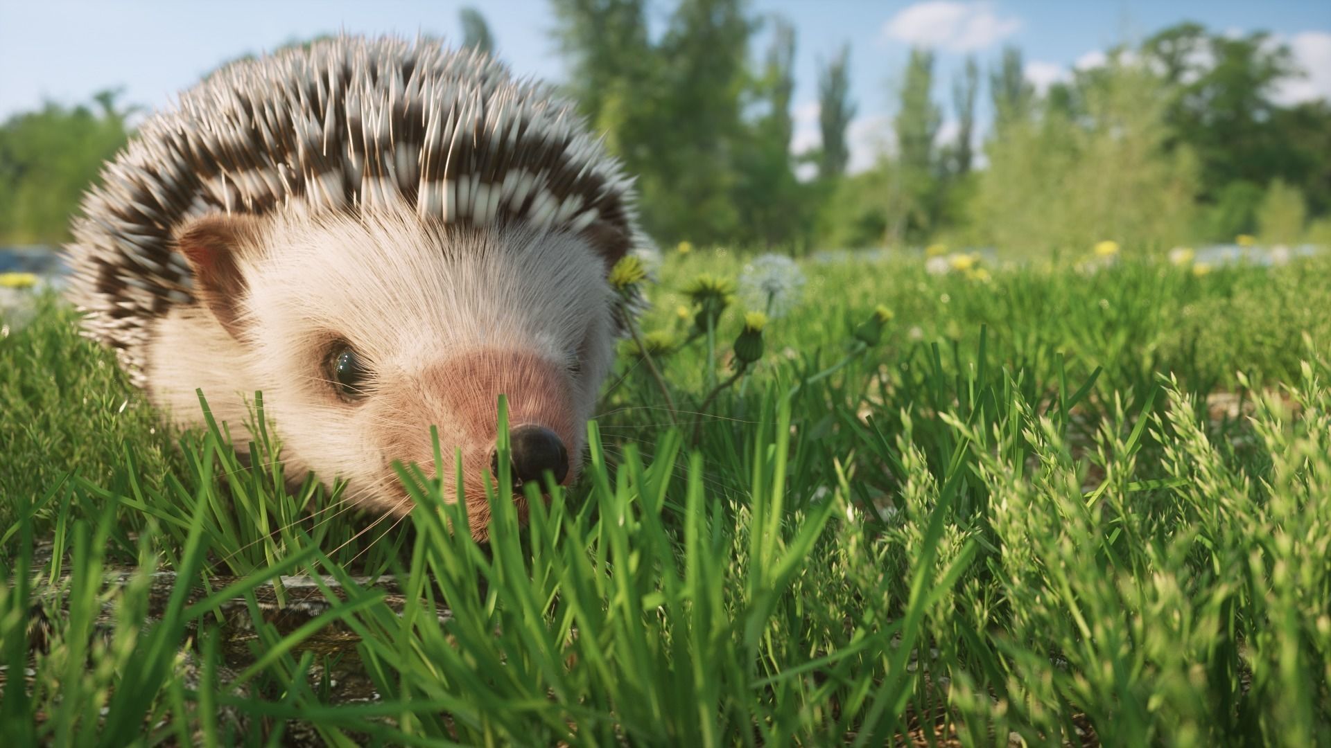 Hedgehog for Vray and Octane 3D model_1
