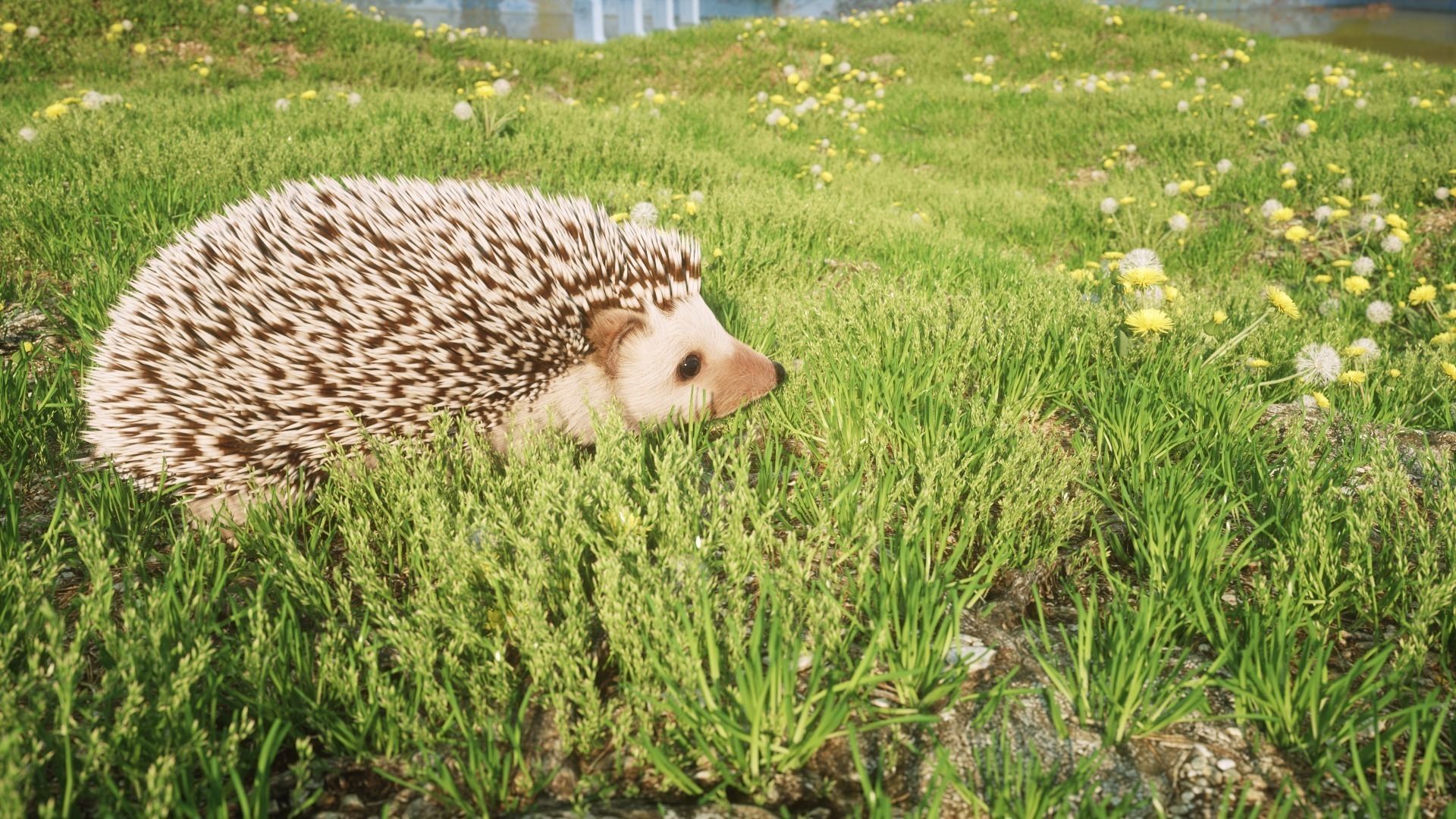 Hedgehog for Vray and Octane 3D model_4