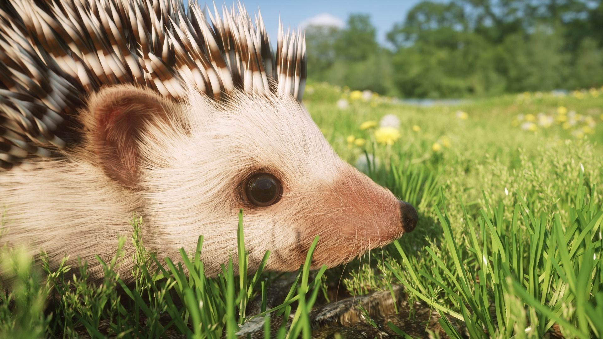 Hedgehog for Vray and Octane 3D model_2