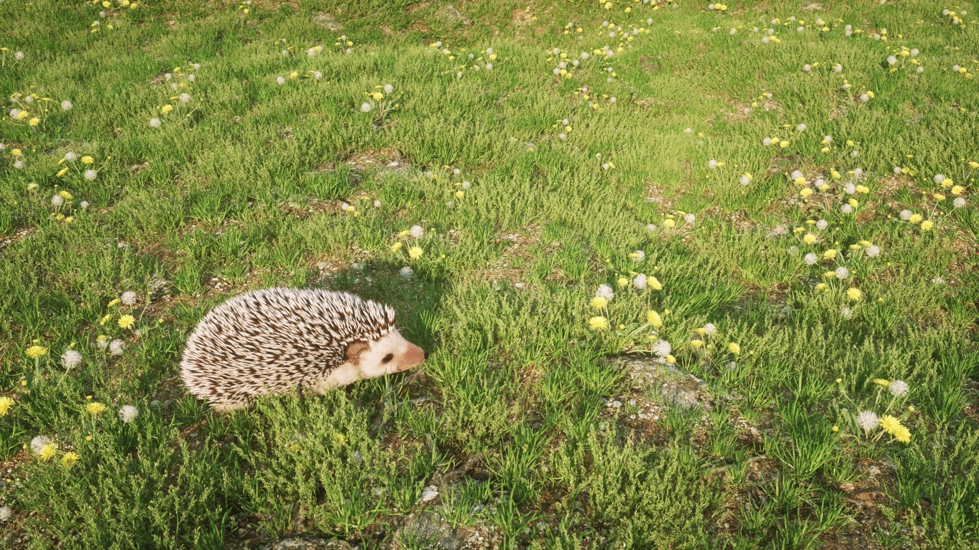 Hedgehog for Vray and Octane 3D model_3