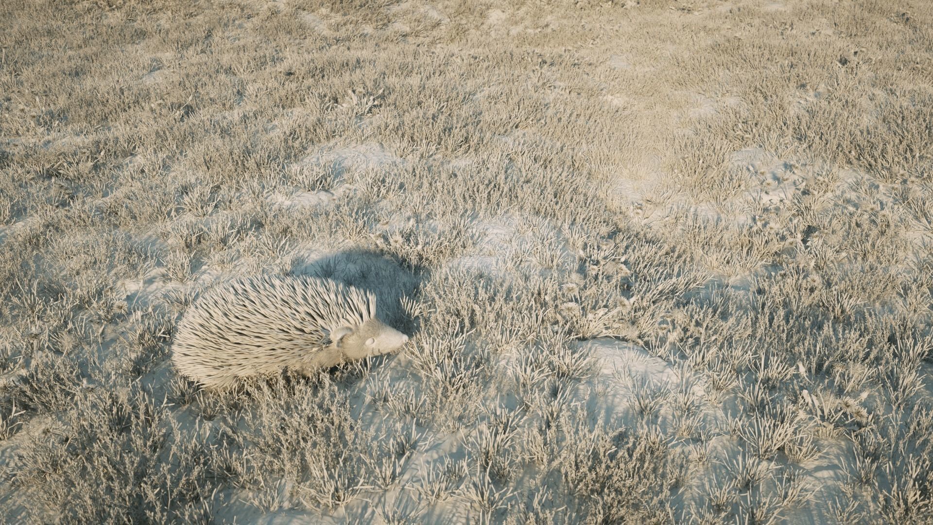 Hedgehog for Vray and Octane 3D model_10