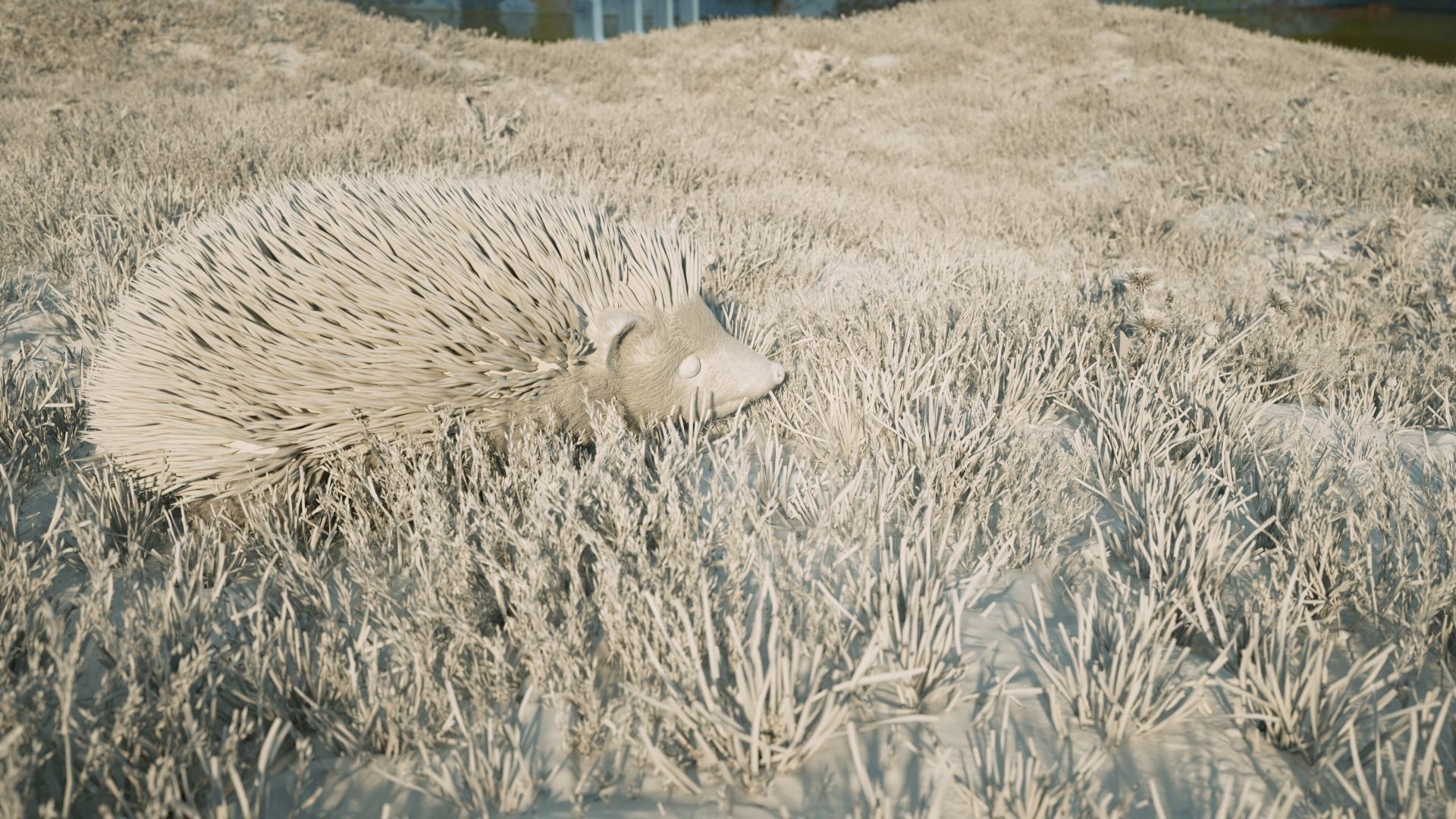 Hedgehog for Vray and Octane 3D model_7