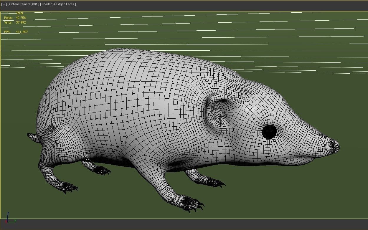 Hedgehog for Vray and Octane 3D model_14