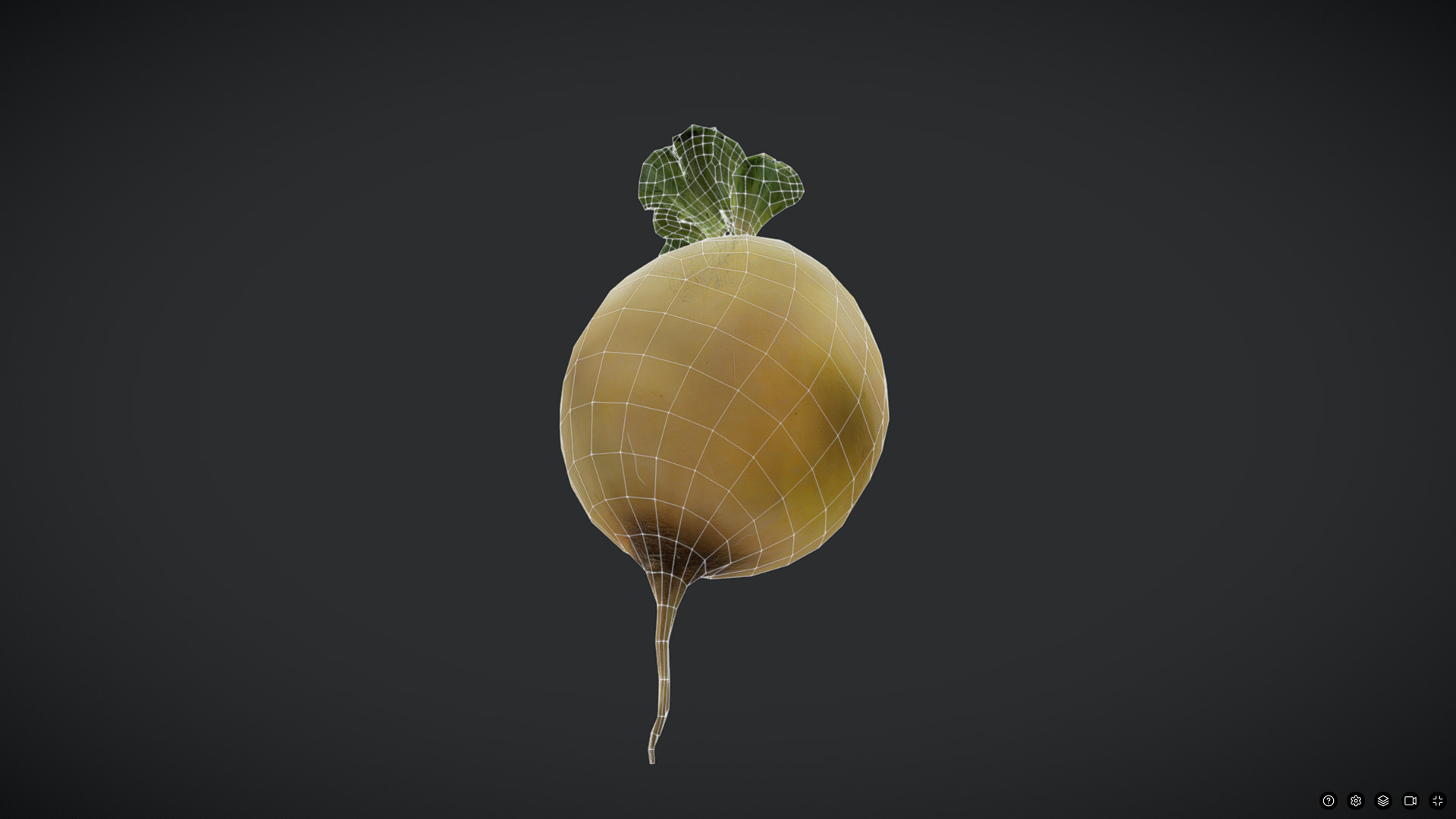 Turnip Low-poly 3D model_4