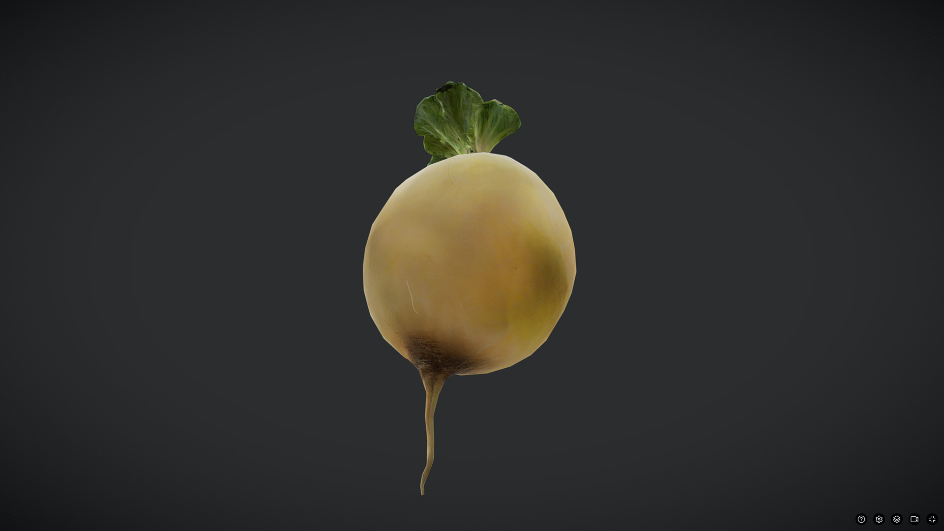 Turnip Low-poly 3D model_3