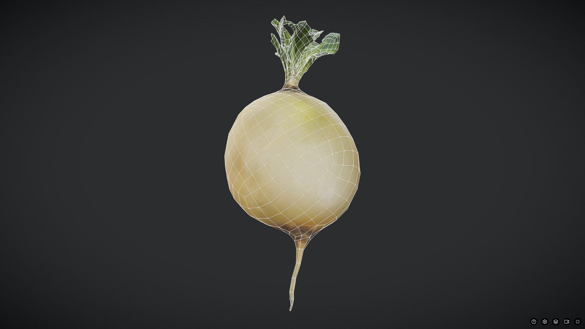 Turnip Low-poly 3D model_2