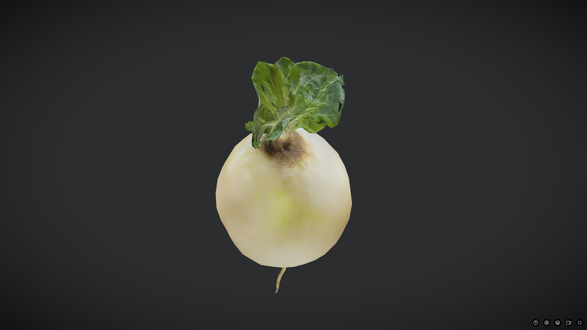 Turnip Low-poly 3D model_5