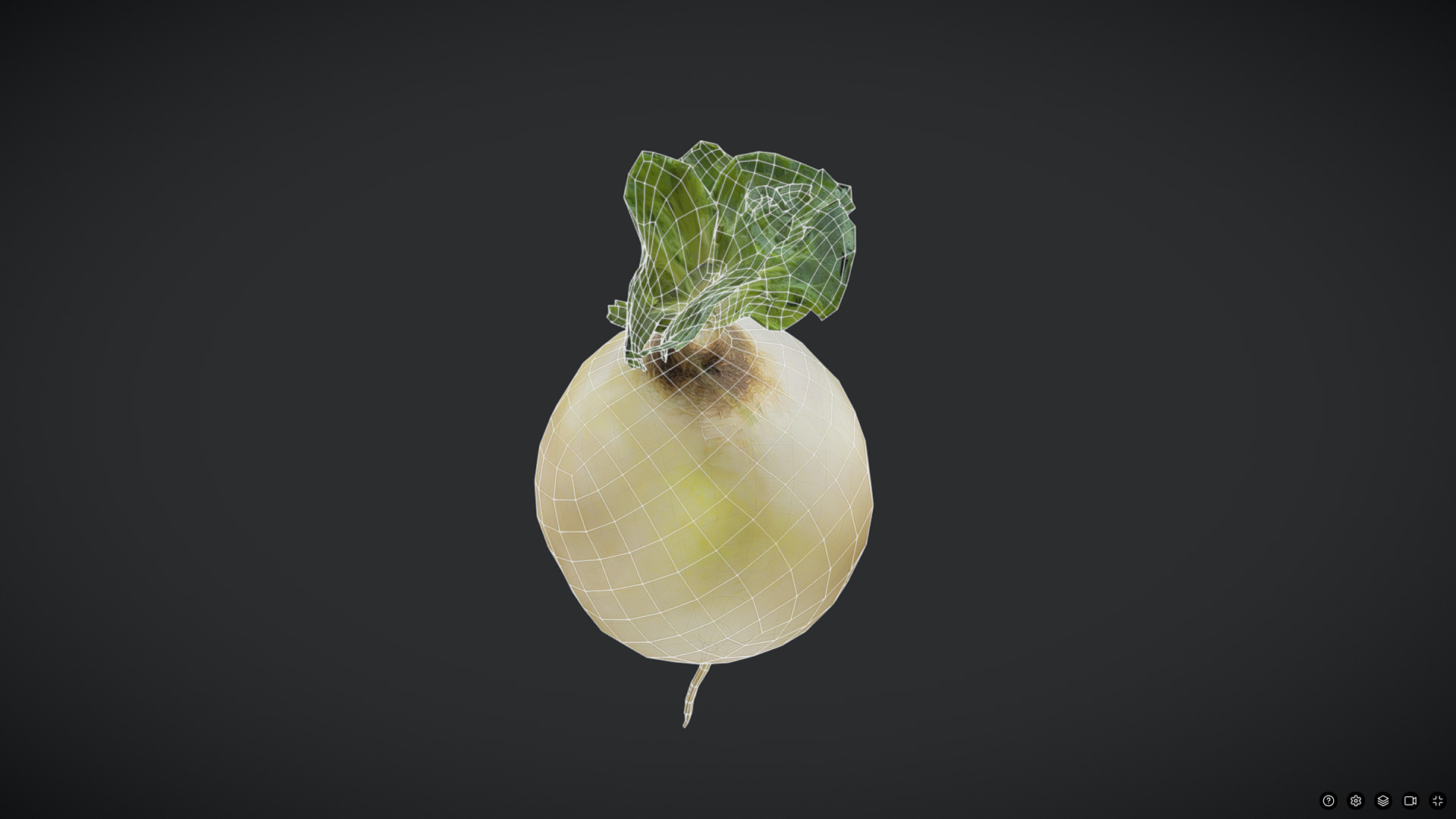 Turnip Low-poly 3D model_6
