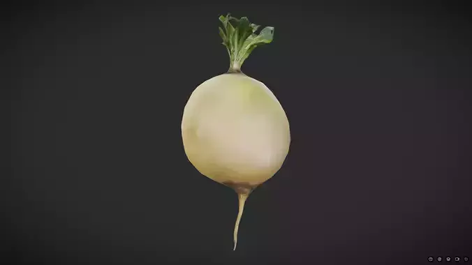 Turnip