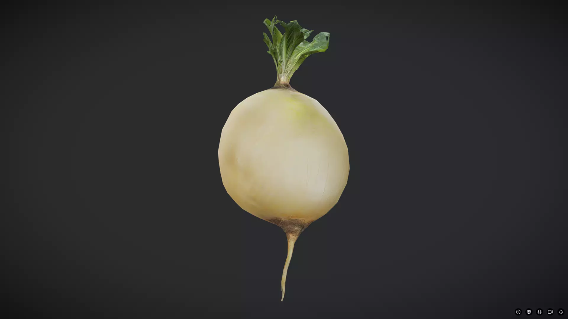 Turnip Low-poly 3D model_0