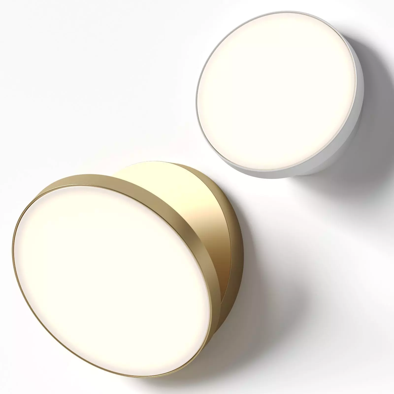 Rotaliana VENERE wall 3D model_0