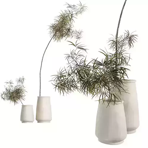 2 POT COCOJAR-M-WHIT Tine K home 3D model