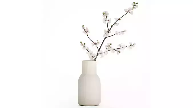 Bouquet Of Cherry Blossom Branches And Sakura 527