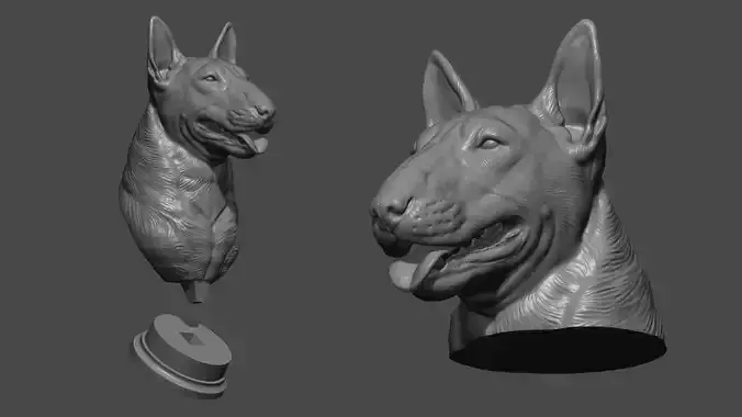 Bull Terrier head