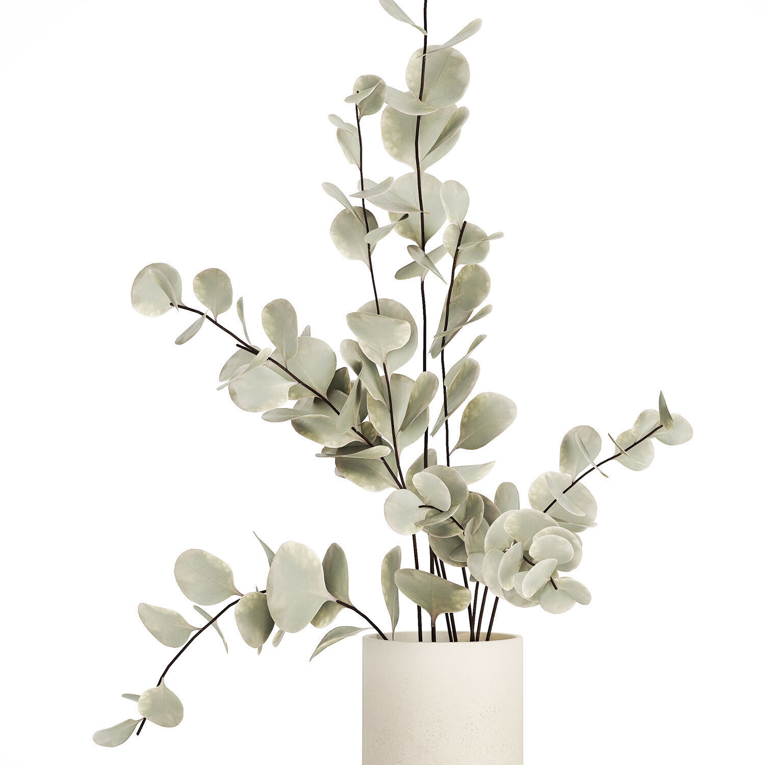Bouquet Of Dried Flowers From Branches Eucalyptus 528 3D model_10