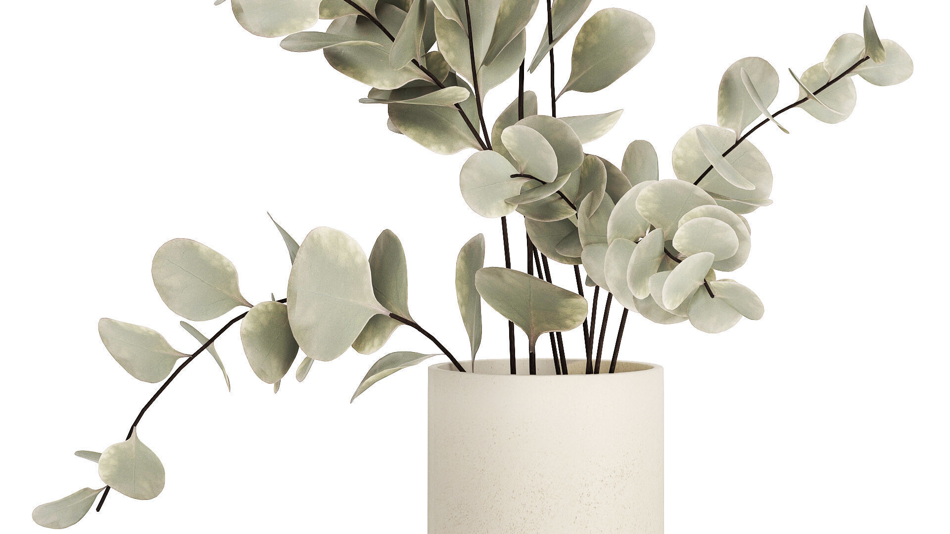 Bouquet Of Dried Flowers From Branches Eucalyptus 528 3D model_4