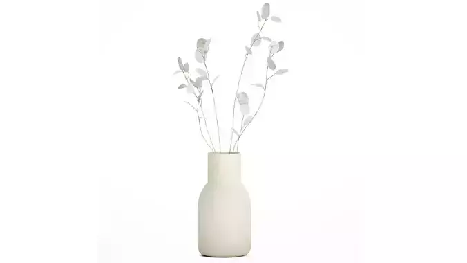 Dried Flowers From Branches Lunnik Lunaria in a vase 529 3D model