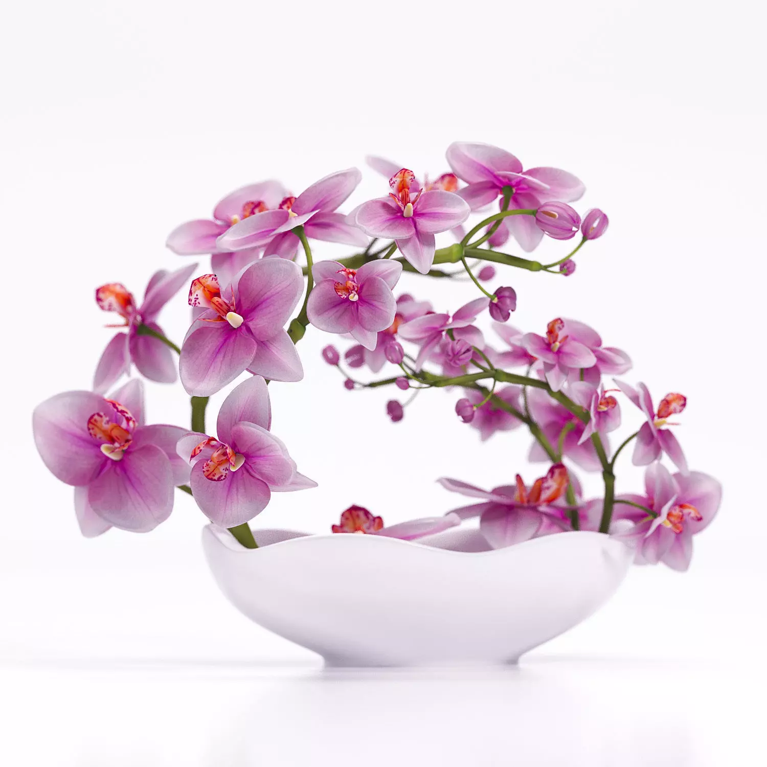 Orchids in bowl 3D model_0