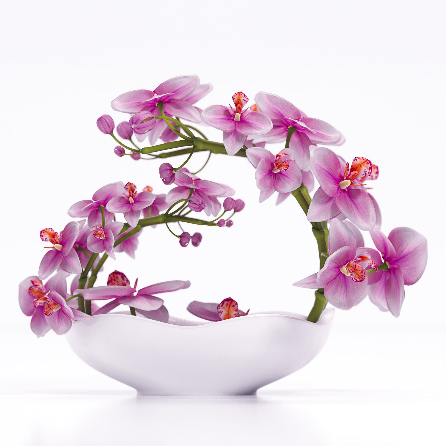 Orchids in bowl 3D model_3