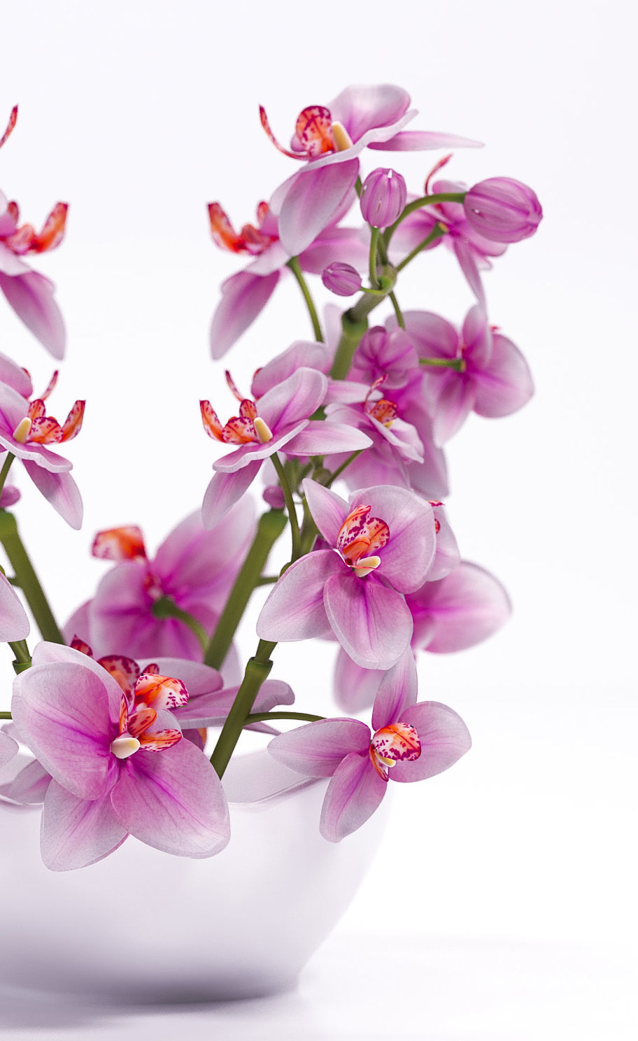 Orchids in bowl 3D model_2