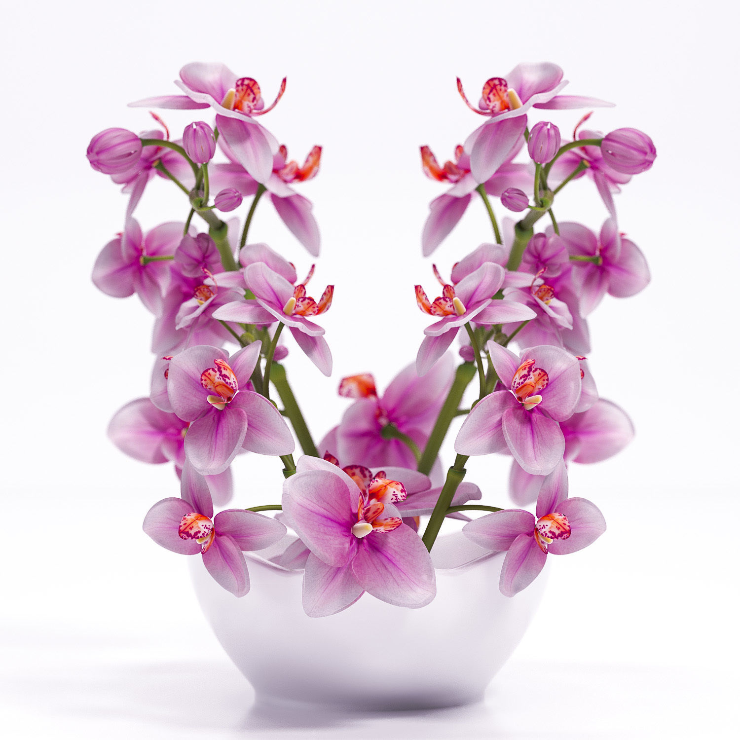 Orchids in bowl 3D model_1