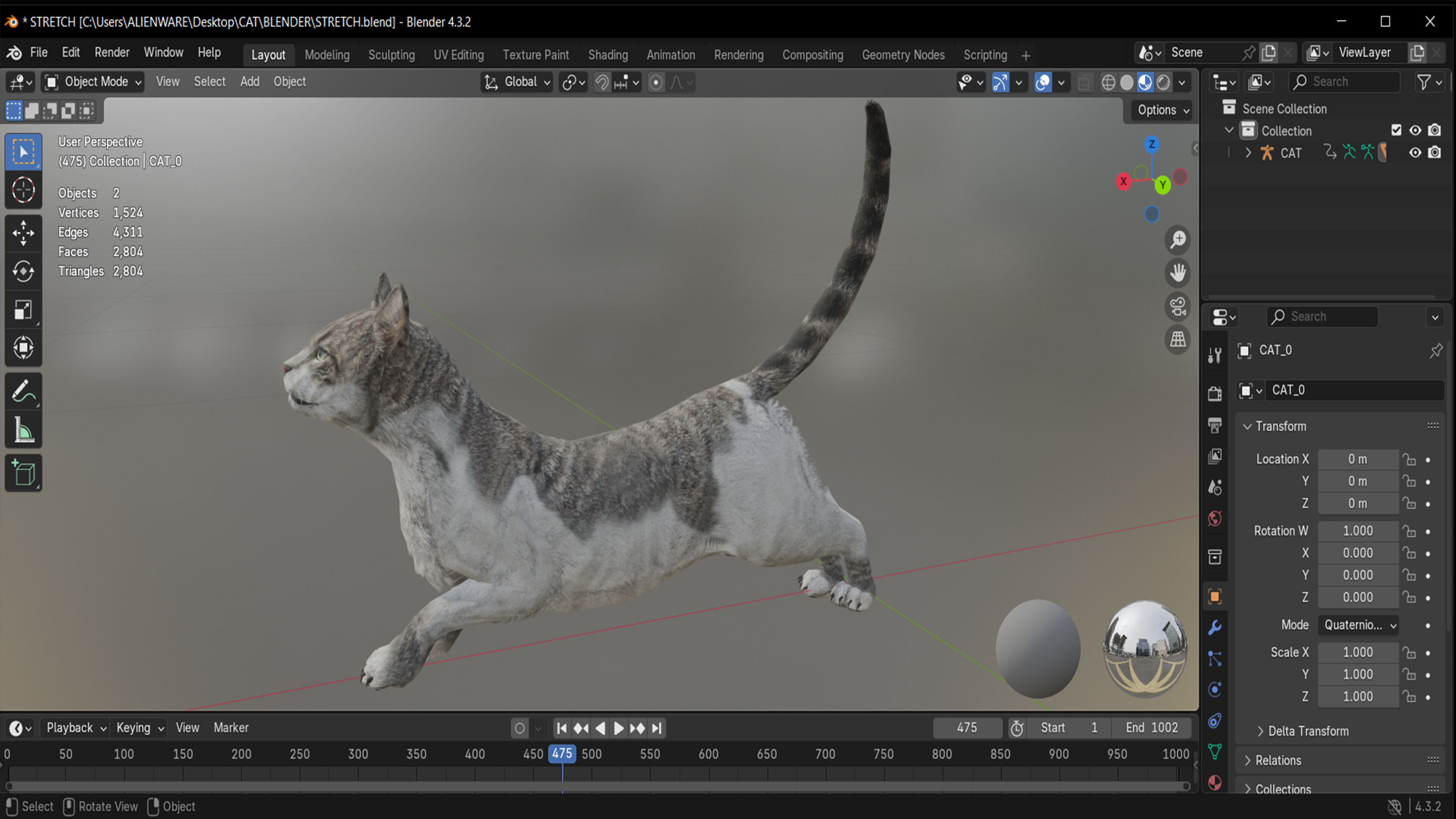 REALISTIC CAT RIGGED ANIMATED 5 Low-poly 3D model_11