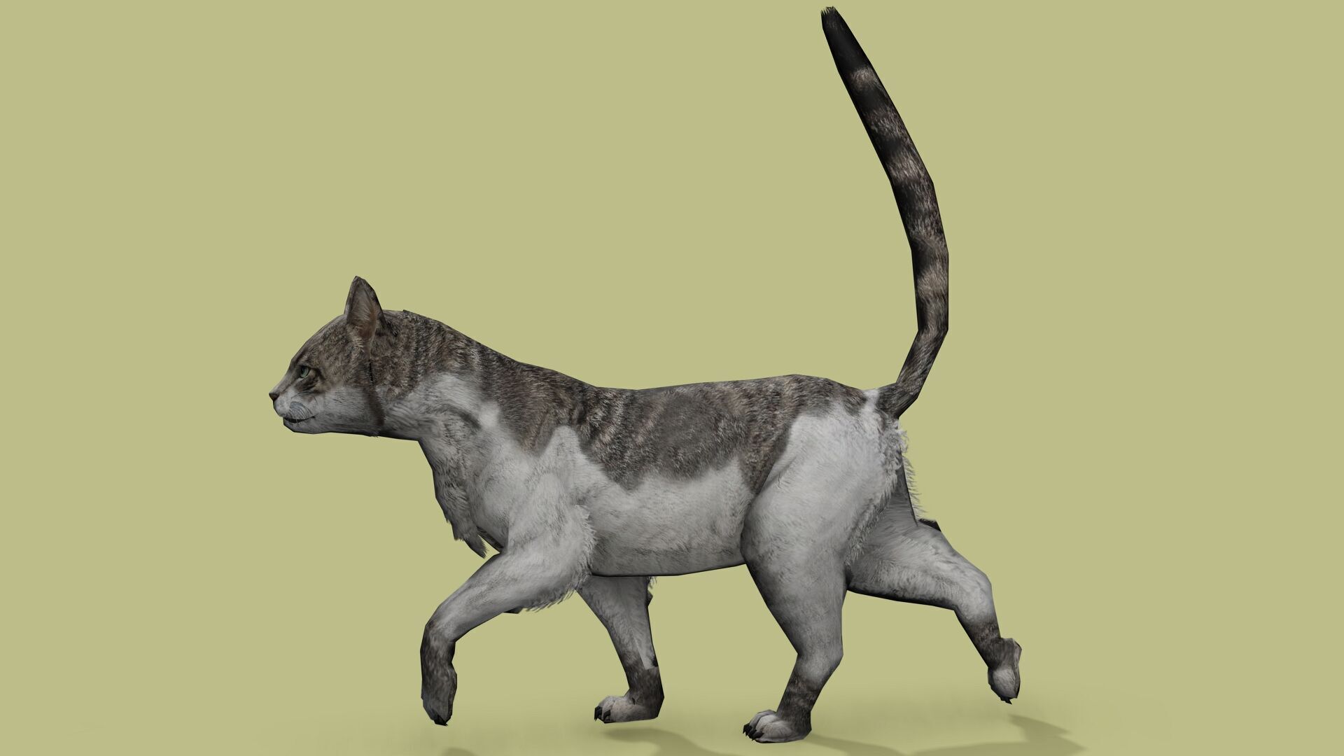 REALISTIC CAT RIGGED ANIMATED 5 Low-poly 3D model_3