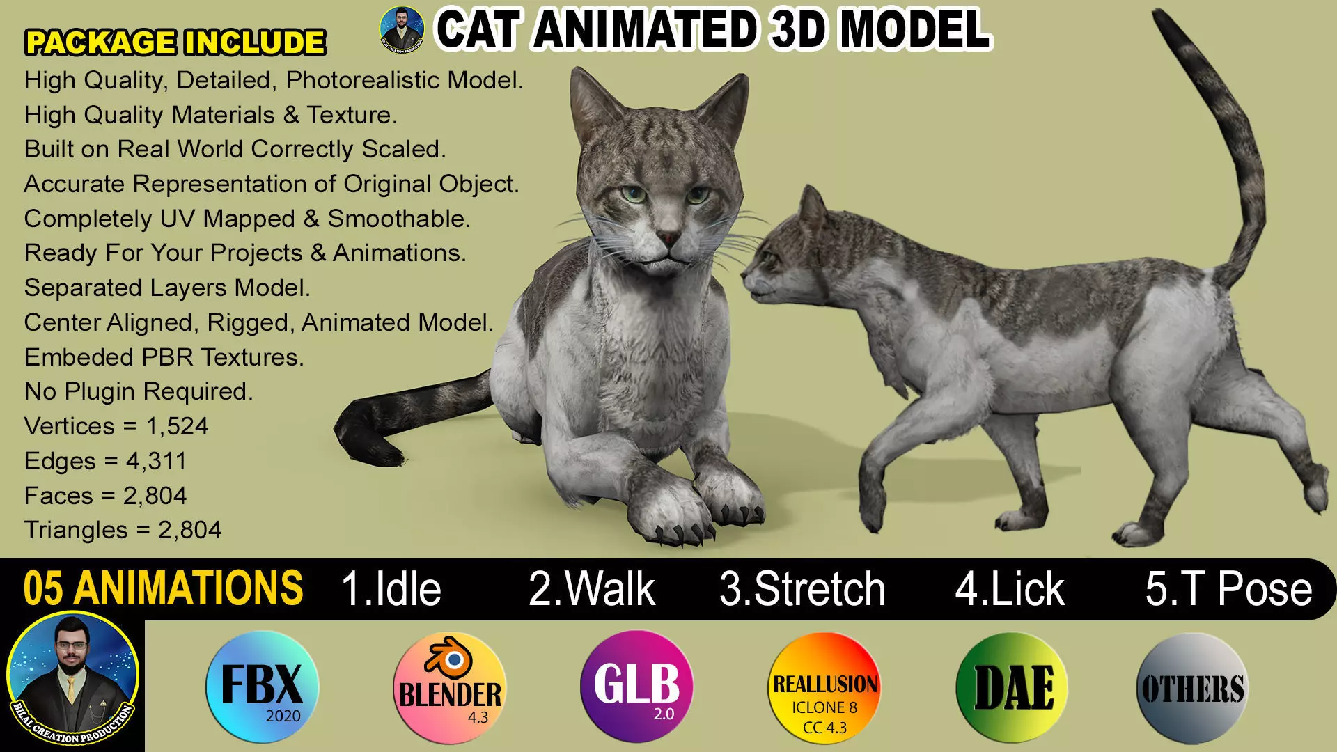 REALISTIC CAT RIGGED ANIMATED 5 Low-poly 3D model_0