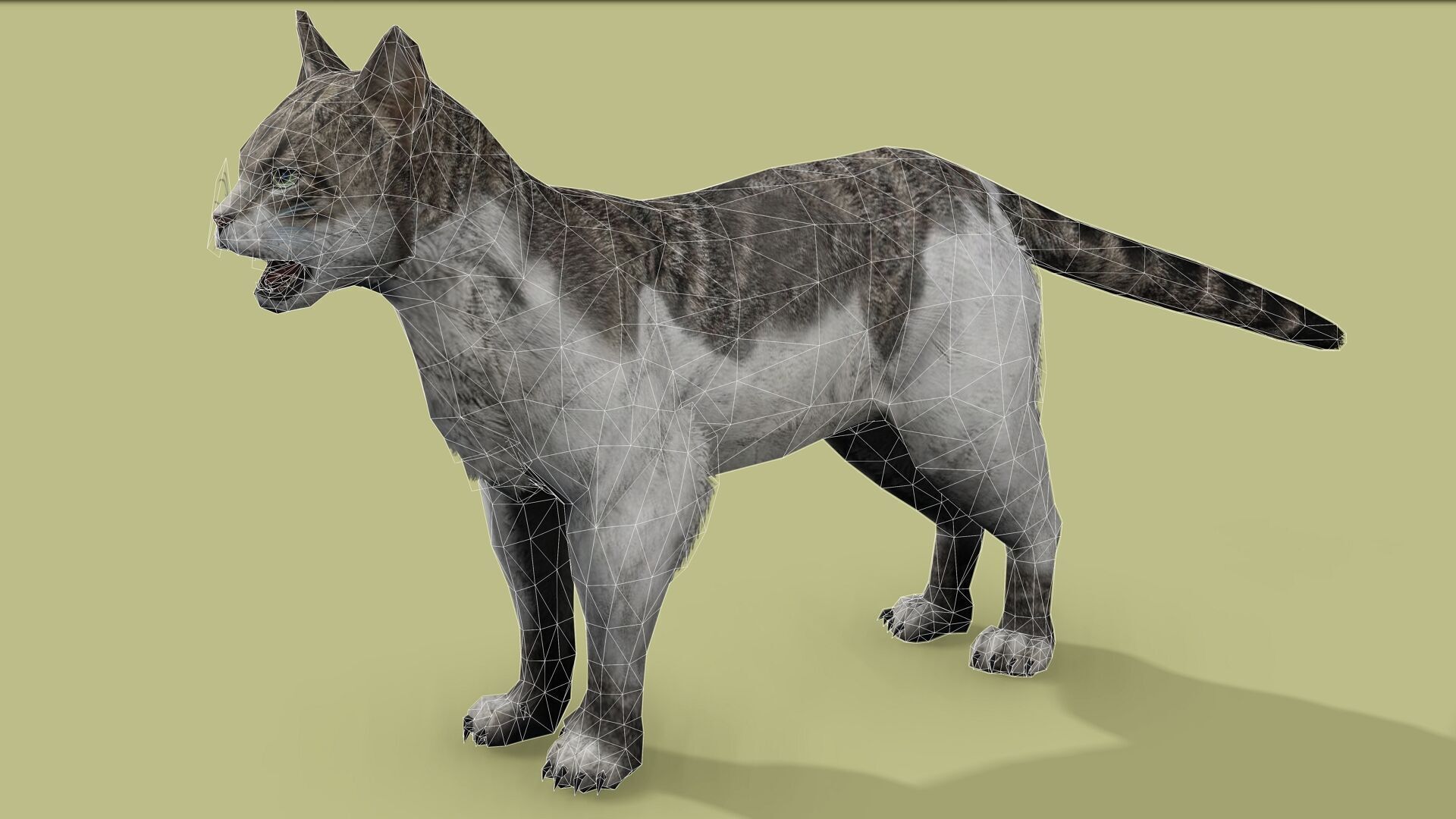 REALISTIC CAT RIGGED ANIMATED 5 Low-poly 3D model_10