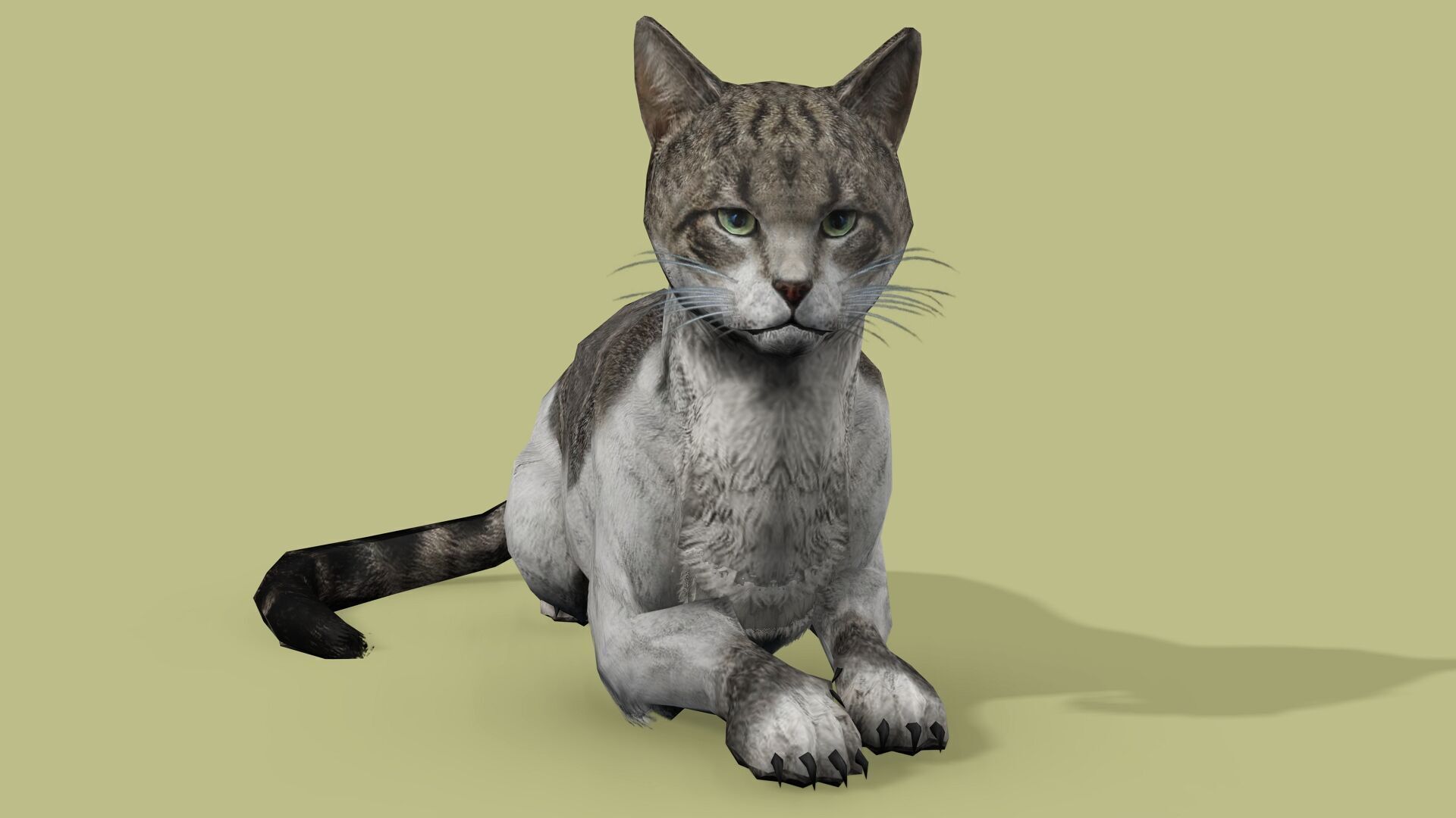 REALISTIC CAT RIGGED ANIMATED 5 Low-poly 3D model_1