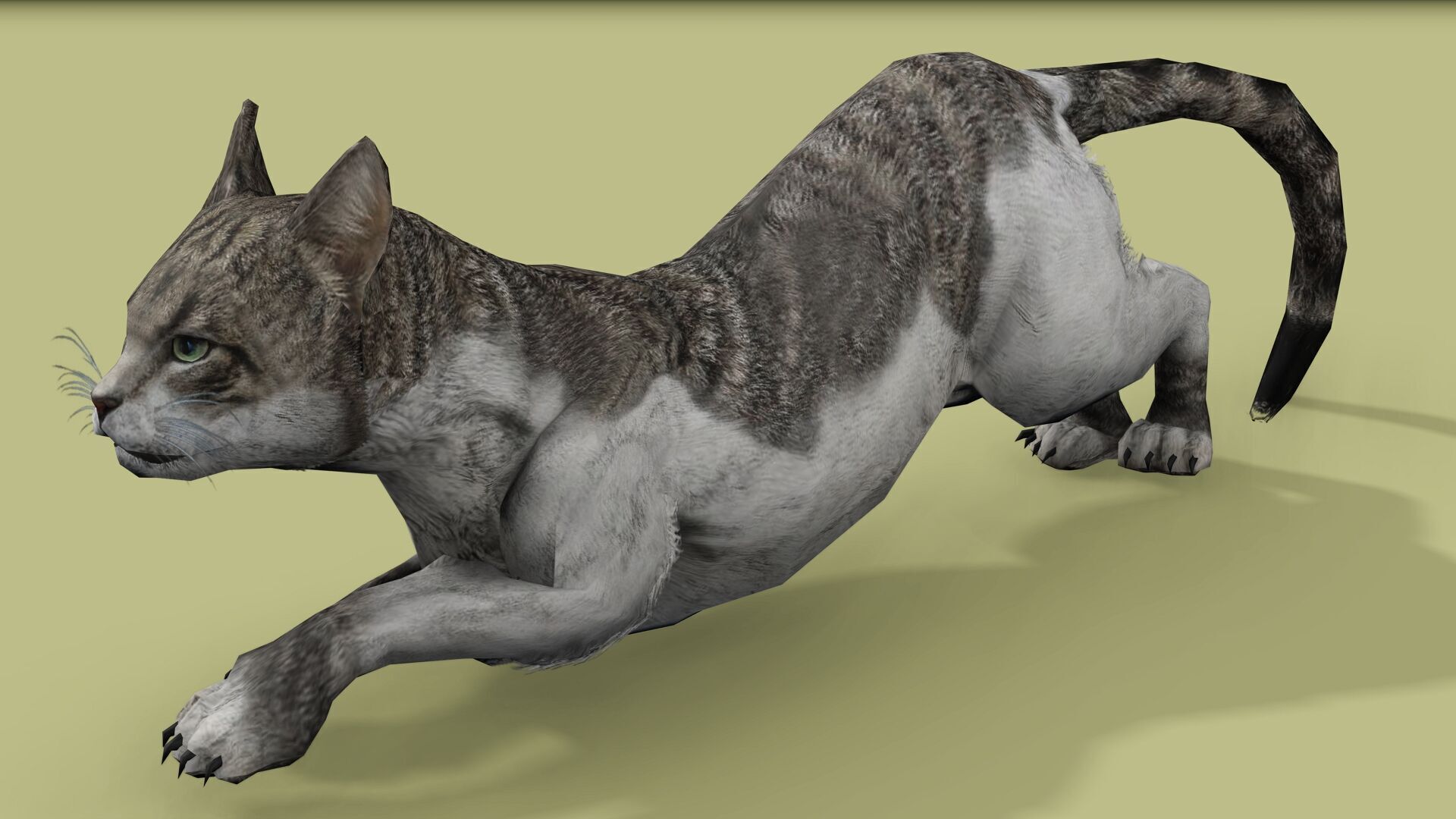 REALISTIC CAT RIGGED ANIMATED 5 Low-poly 3D model_4