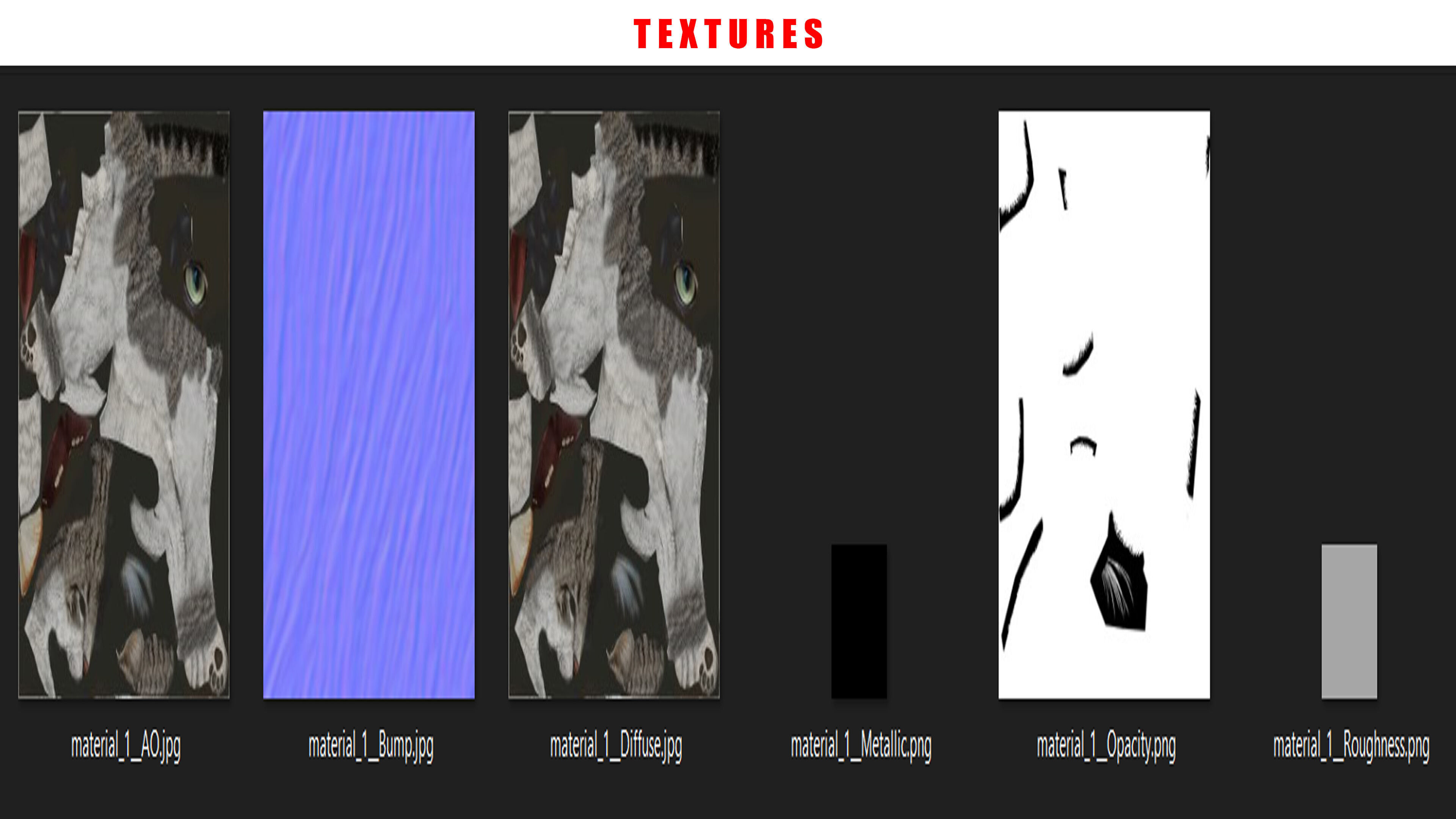 REALISTIC CAT RIGGED ANIMATED 5 Low-poly 3D model_13