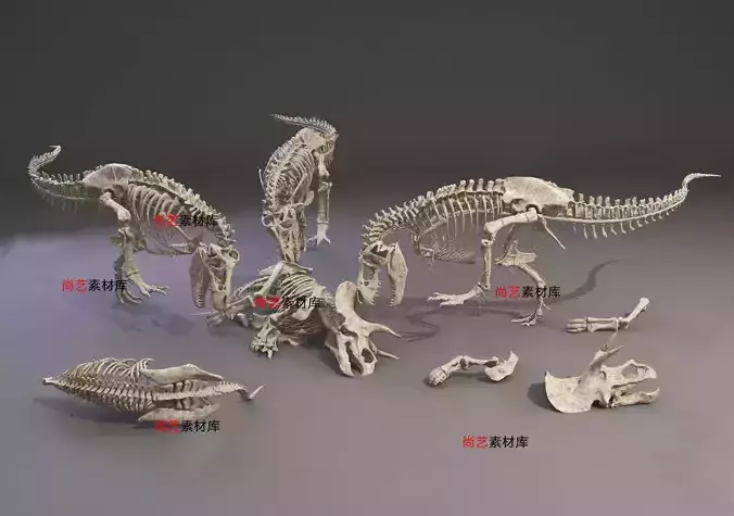 Dinosaur Fossil Workshop Collection - 3ds Max Low-poly 3D model