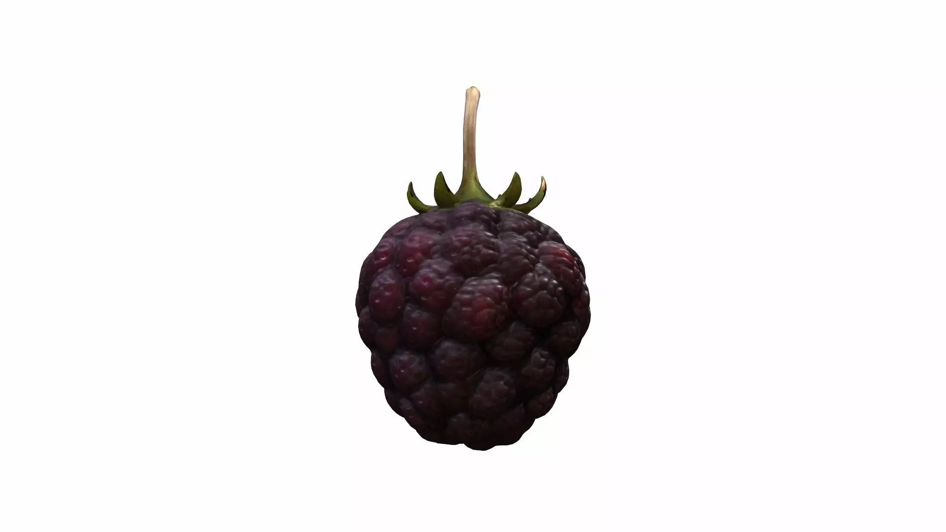3d Model Ripe Mulberries Fruit 3D model