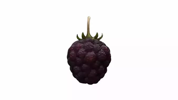 3d Model Ripe Mulberries Fruit